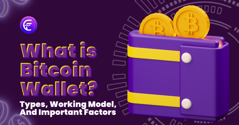 What Is Bitcoin Wallet? Types, Working Model, And Important Factors