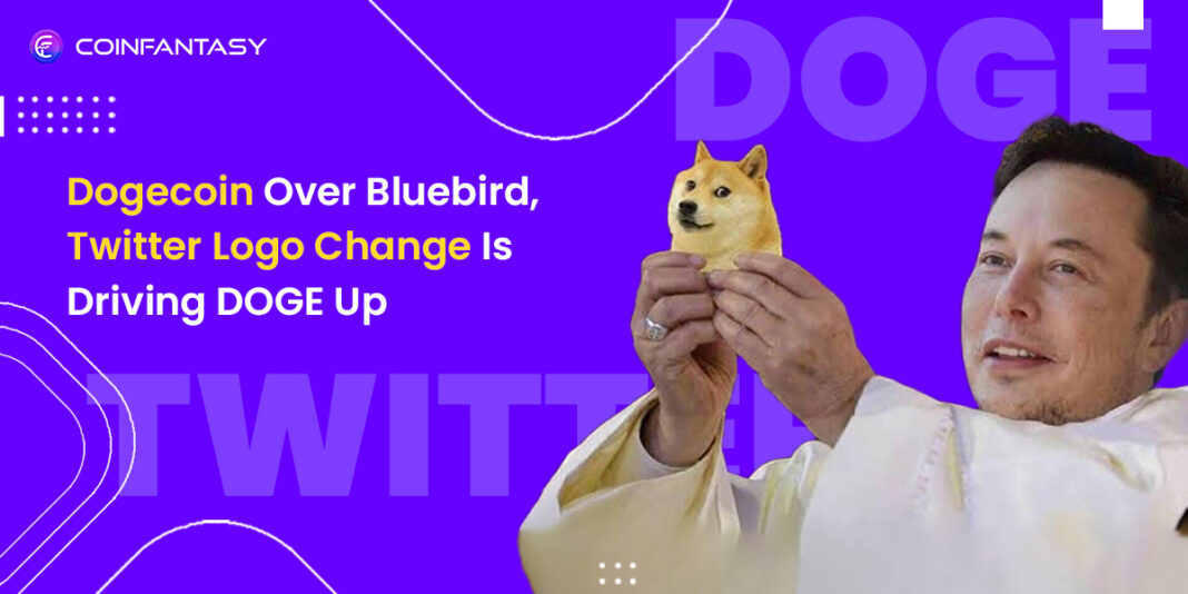 Dogecoin Over Bluebird