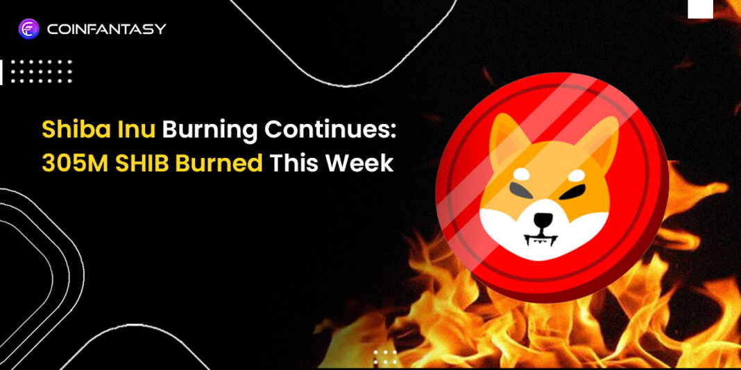 Shiba Inu Burning