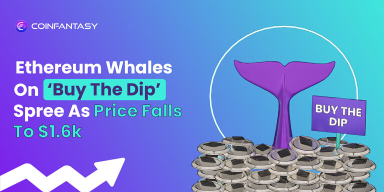 Ethereum Whales On ‘Buy The Dip’ Spree As Price Falls To $1.6k